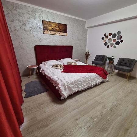 Studio Red Apartment Brasov Ngoại thất bức ảnh
