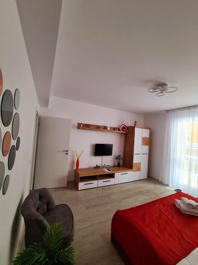 Studio Red Apartment Brasov Ngoại thất bức ảnh