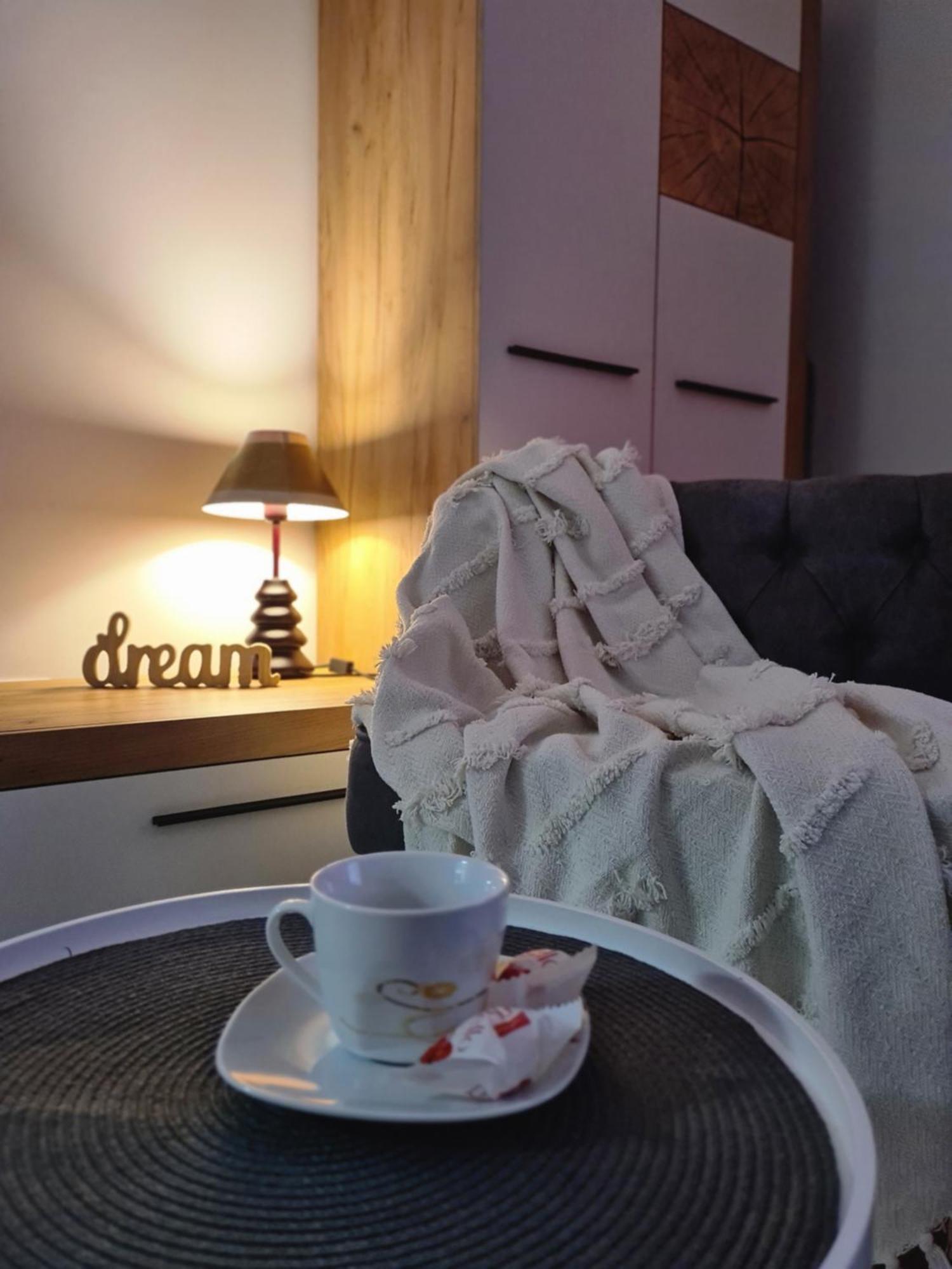 Studio Red Apartment Brasov Ngoại thất bức ảnh